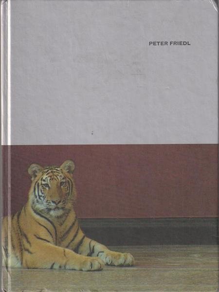 Peter Friedl | Immagine principale
