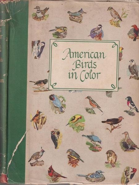 American birds in color | Immagine Gallery 1