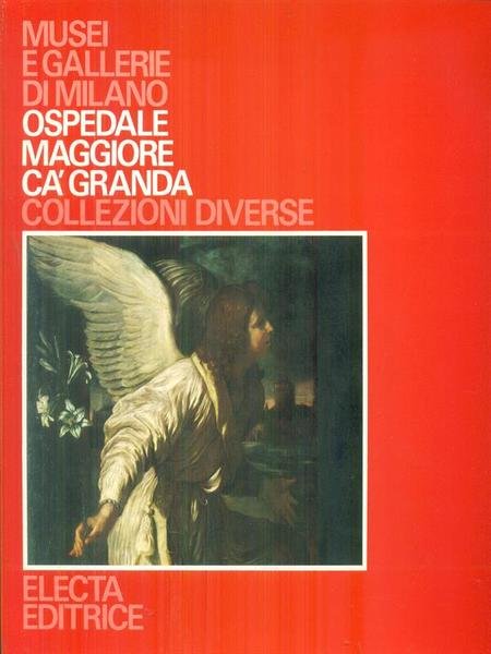 Ospedale maggiore Ca' Granda Collezioni diverse | Immagine principale
