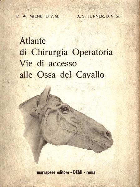 Atlante di Chirurgia Operatorio - Vie di accesso alle Ossa …