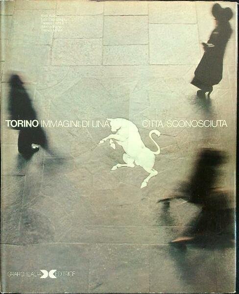 Torino. Immagini di una citta' sconosciuta
