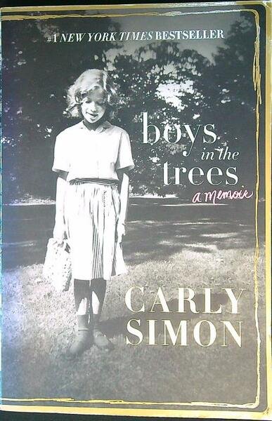 Boys in the Trees: A Memoir