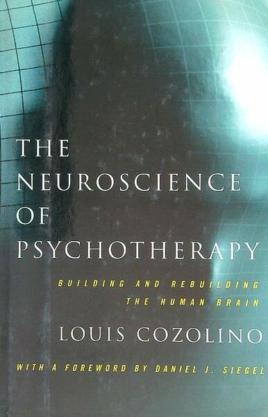 The Neuroscience of Psychotherapy