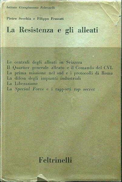 La resistenza e gli alleati
