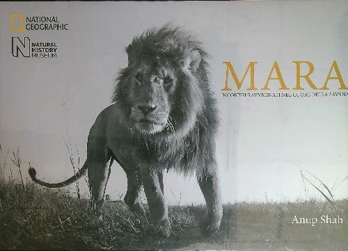 Mara. Incontri ravvicinati nel cuore della savana. Ediz. illustrata