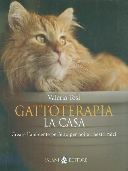 Gattoterapia - La casa | Immagine principale