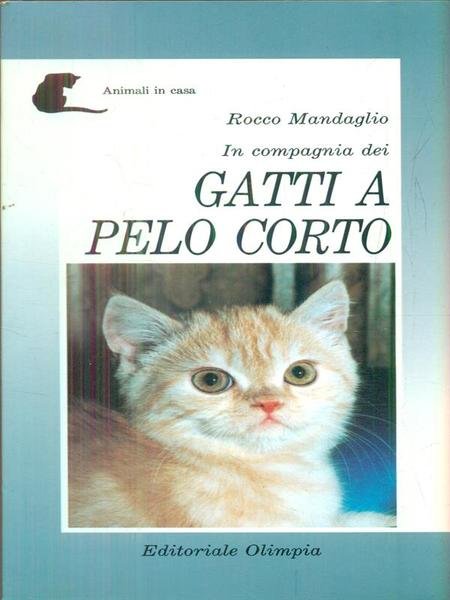 In compagnia dei gatti a pelo corto | Immagine principale