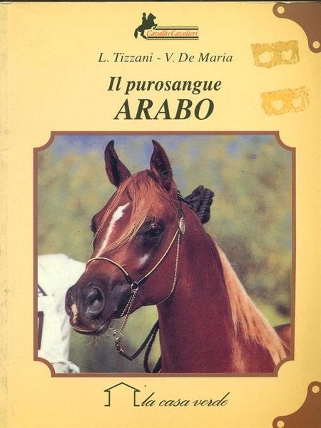Il purosangue arabo