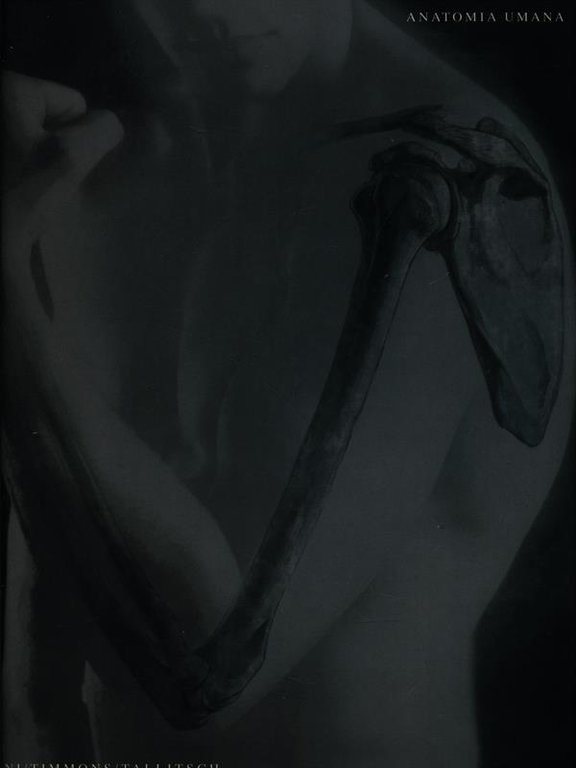 Anatomia umana
