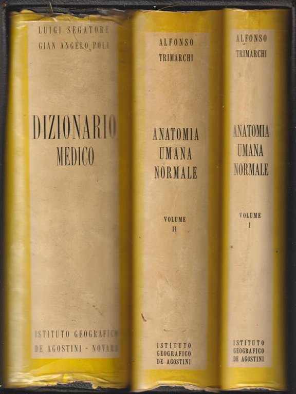 Anatomia umana normale - Dizionario medico 3vv
