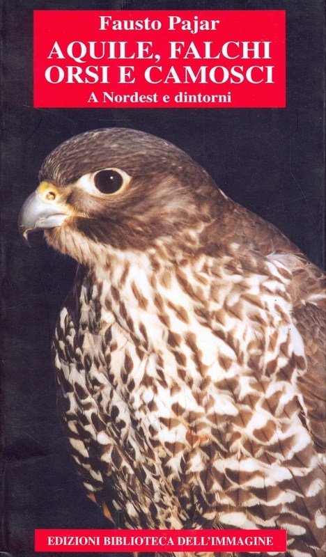 Aquile, falchi, orsi e camosci