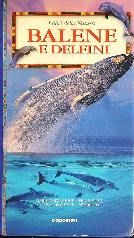 Balene e delfini
