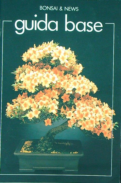 Bonsai & News. Guida base