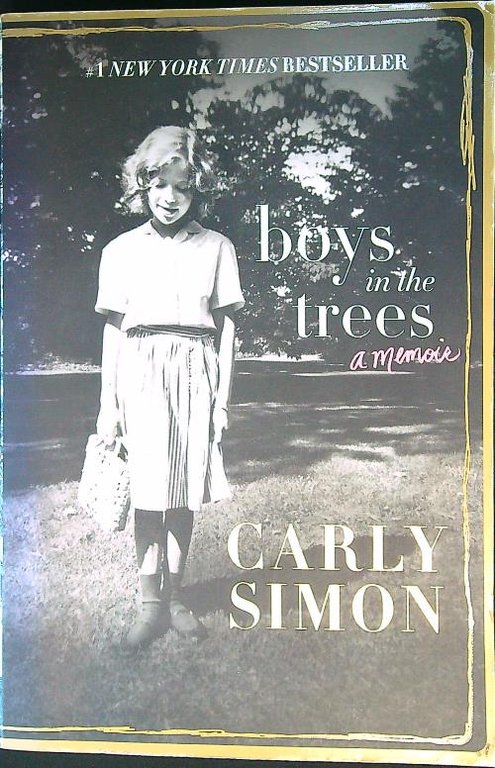 Boys in the Trees: A Memoir