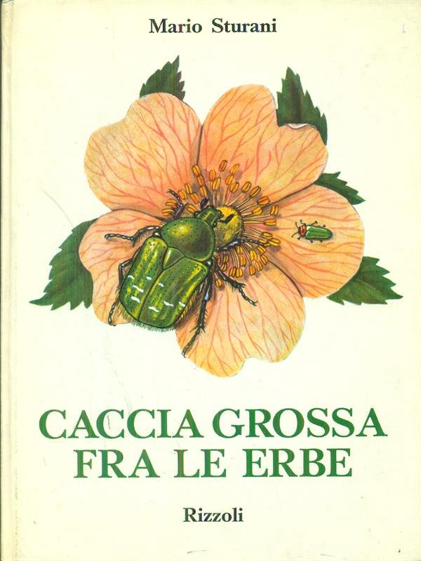 Caccia grossa fra le erbe