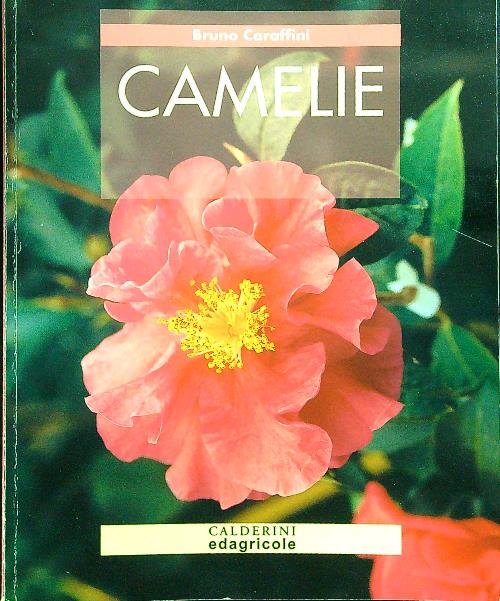 Camelie