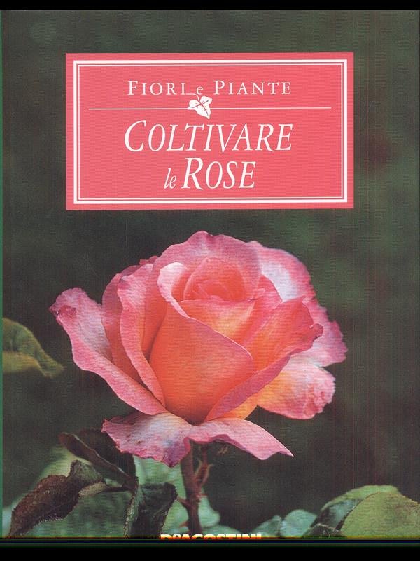 Coltivare le rose | Immagine principale
