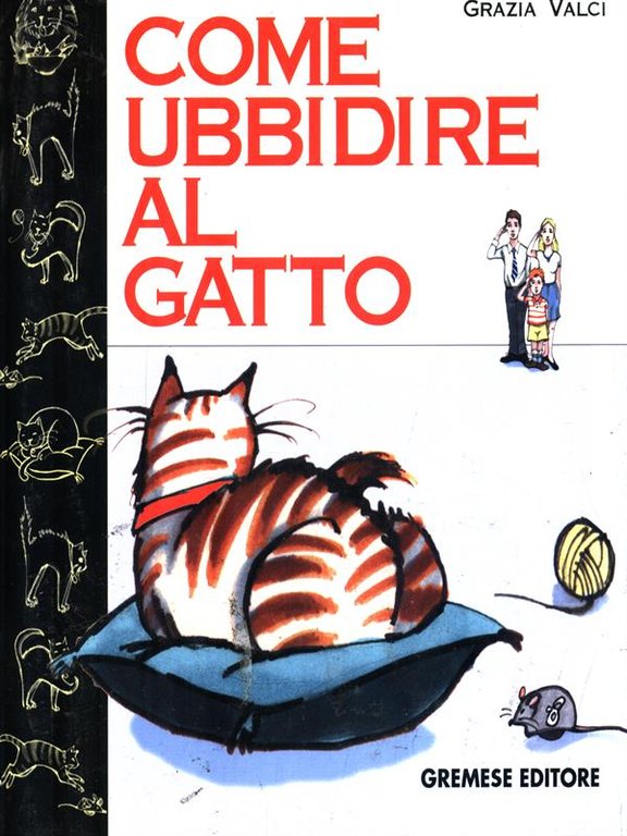 Come ubbidire al gatto