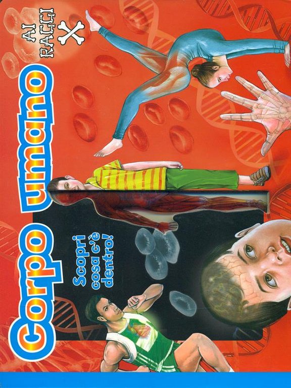 Corpo umano ai raggi X