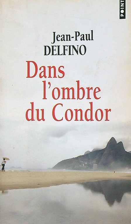 Dans l'ombre du condor | Immagine Gallery 2