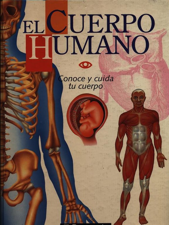 El cuerpo humano | Immagine Gallery 2