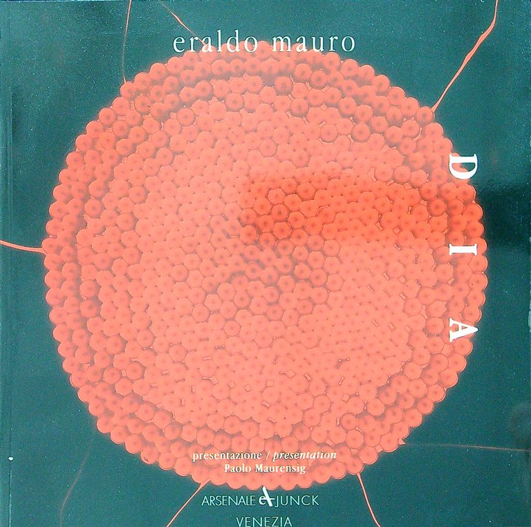 Eraldo Mauro. D I A | Immagine Gallery 2