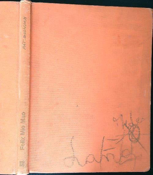 Felix Mio Mao | Immagine Gallery 2