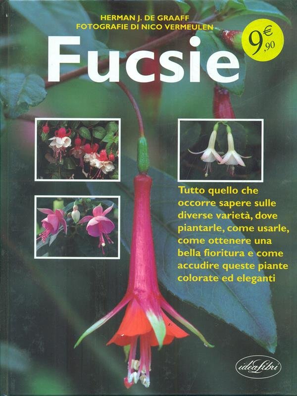 Fucsie