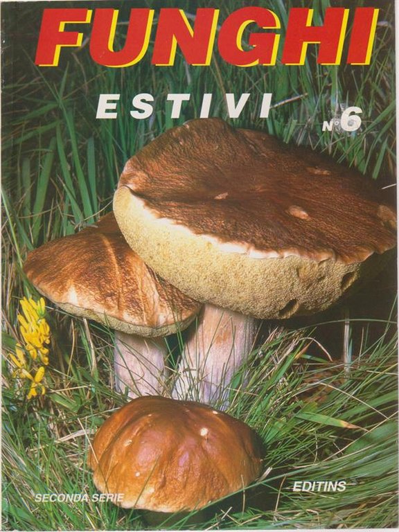Funghi Estivi n. 6