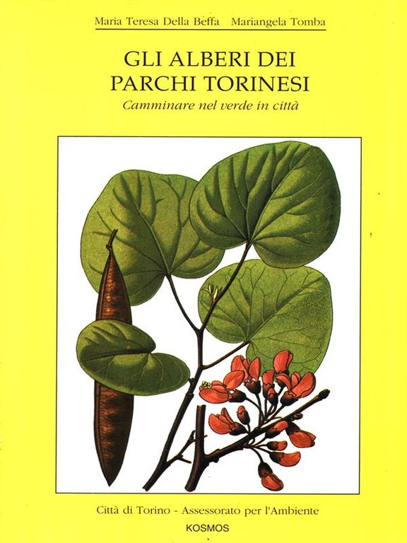 Gli alberi dei parchi torinesi