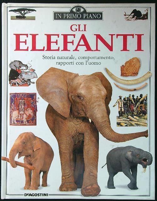 Gli elefanti