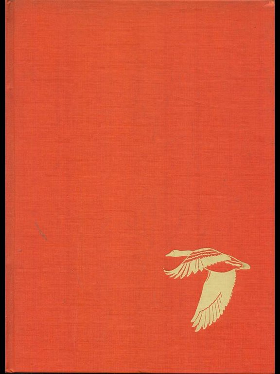 Gli uccelli | Immagine Gallery 2