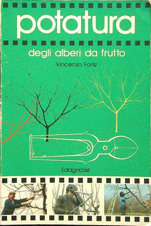 Gli ultimissimi giochi di societa'