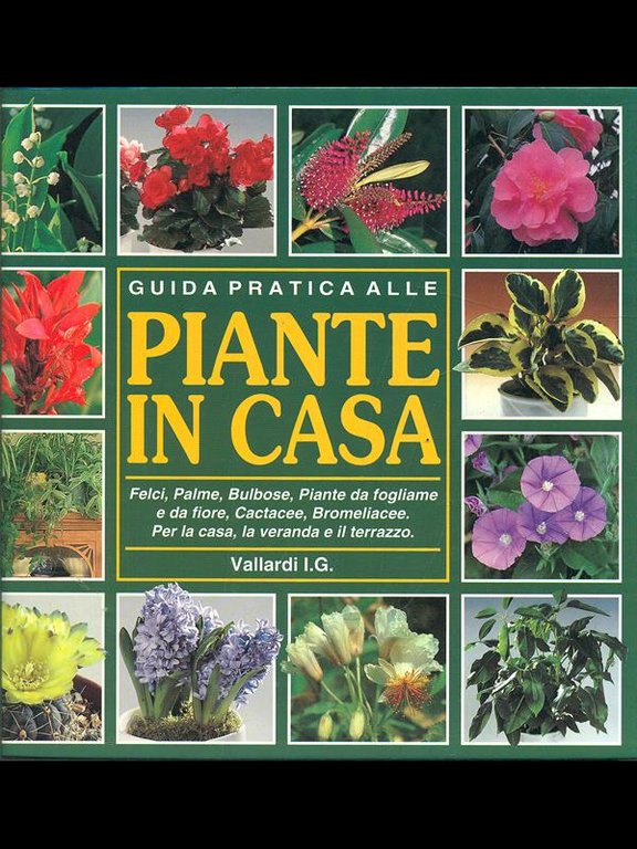 Guida pratica alle piante in casa