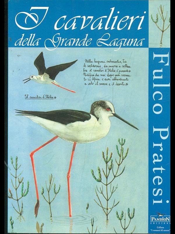 I cavalieri della grande laguna