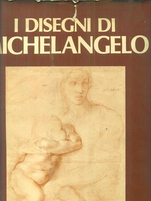 I disegni di Michelangelo