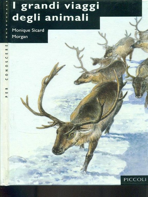 I grandi viaggi degli animali | Immagine Gallery 2