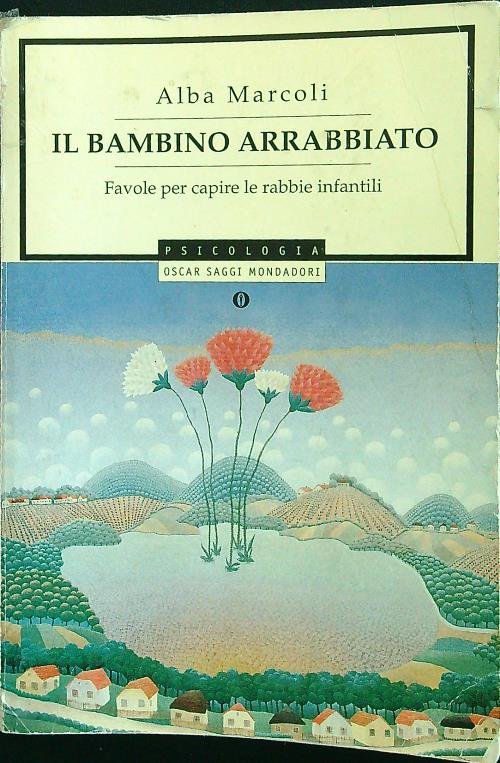 Il bambino arrabbiato