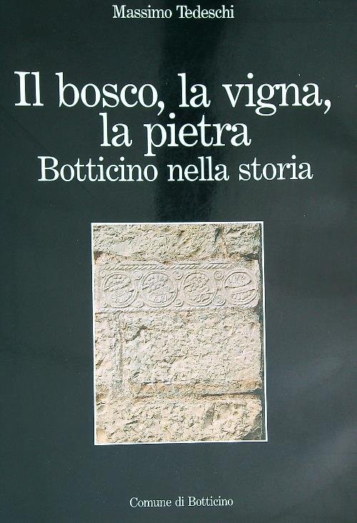 Il Bosco, La Vigna, La Pietra. Botticino Nella Storia