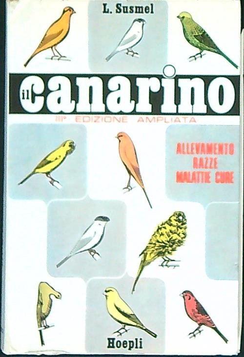 Il canarino
