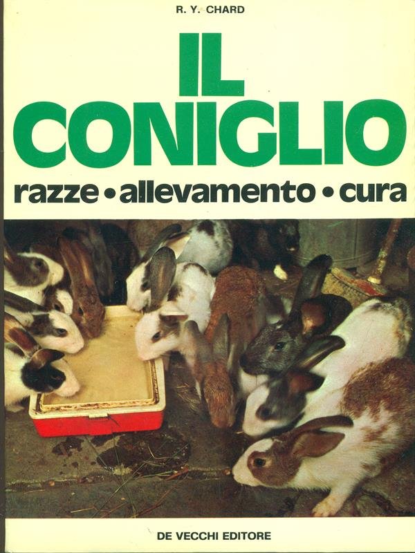 Il coniglio