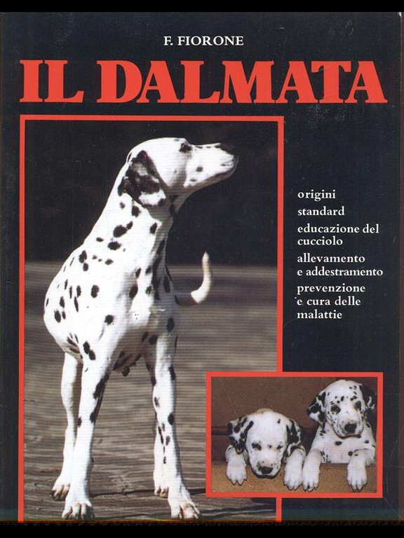 Il dalmata