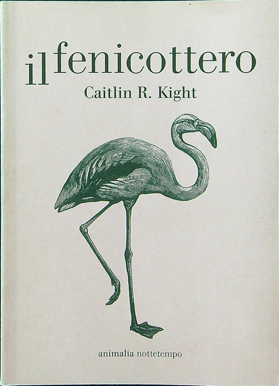 Il fenicottero | Immagine principale