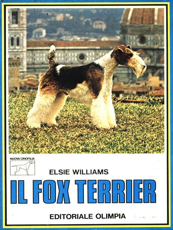 Il fox terrier | Immagine Gallery 2