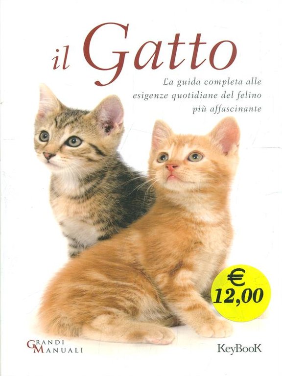Il gatto