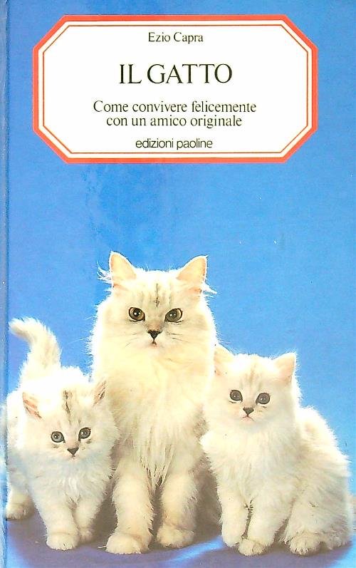 Il gatto | Immagine principale