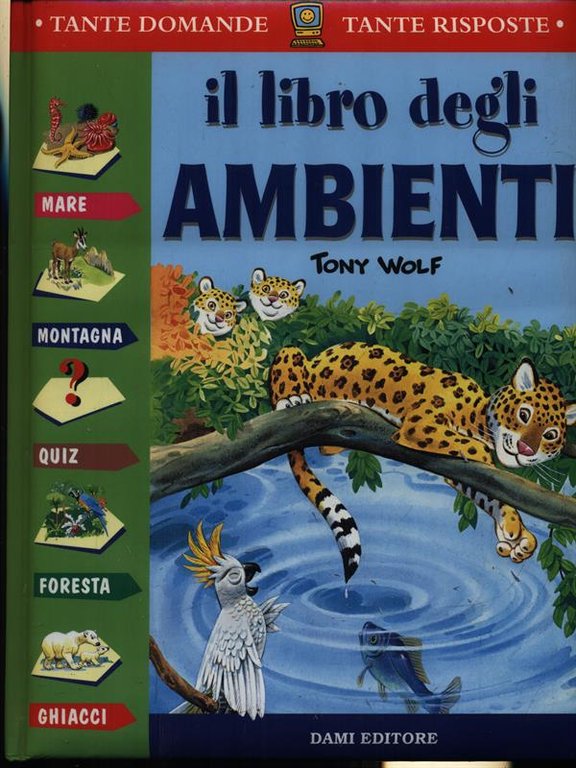 Il libro degli ambienti