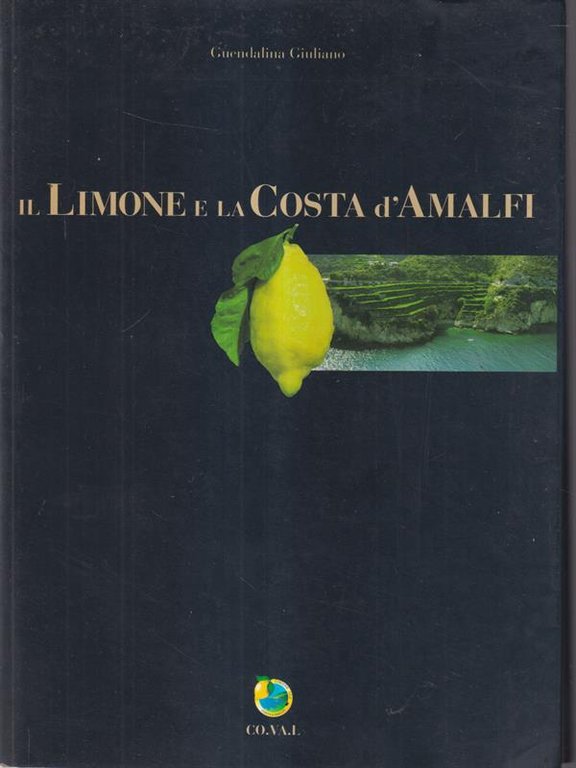 Il limone e la costa d'Amalfi | Immagine Gallery 2