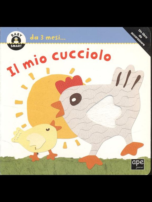 Il mio cucciolo da 3 mesi..