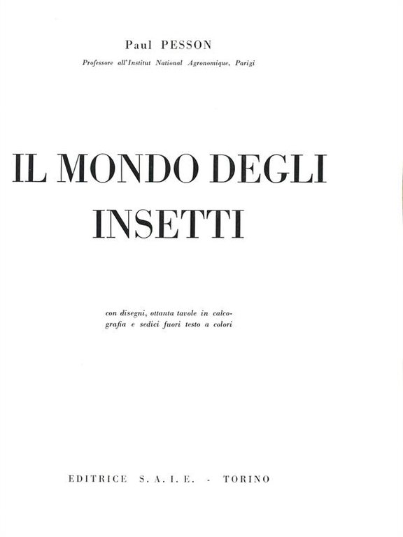 Il mondo degli insetti